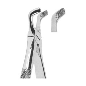 Extracting Forceps English Pattern