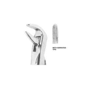 Extracting Forceps English Pattern